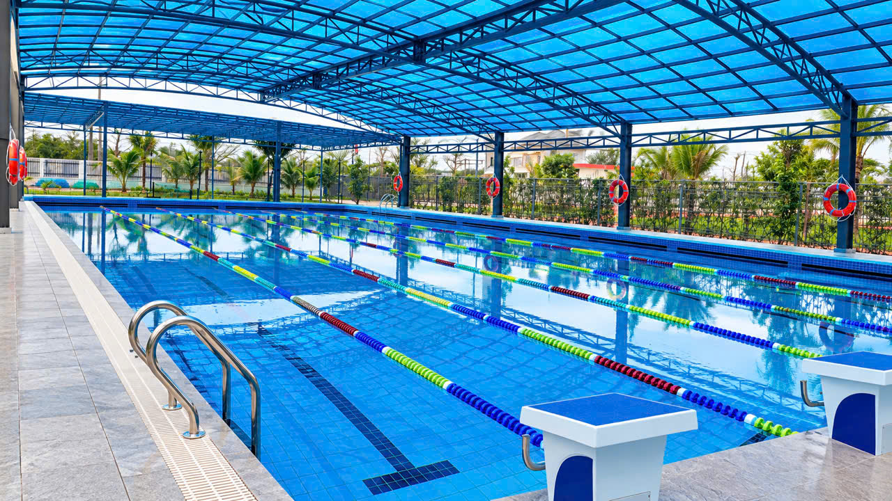 Hồ bơi trường học và thi đấu